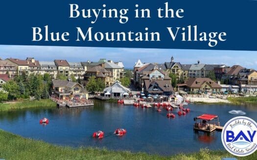 Buying in Blue Mountain Village + Guide